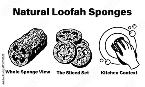 Natural loofah sponges for eco friendly cleaning and skincare routines