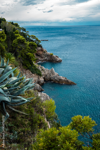 portrait shot looking out to cliff adriatic mediterranean coastline with bright green foliage and trees covering the rocks with clear cyan blue water below and clouded skies above in summer
