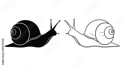 Two snails one dark and one light presented as a silhouette