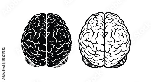 Two human brains one dark and one light artistic silhouette