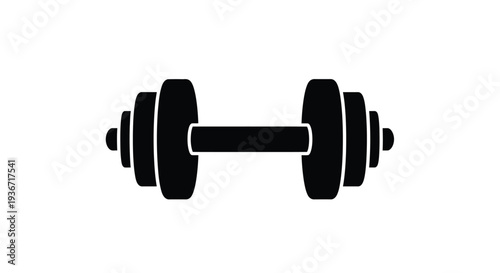 Black barbell weights displayed in a striking minimalist silhouette