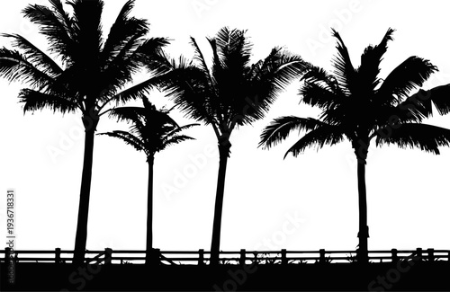 silhouette of palm trees