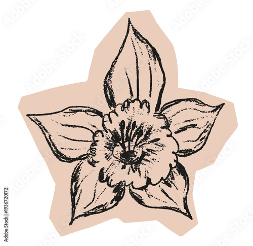 Cut out paper badge with spring narcissus flower on transparent background