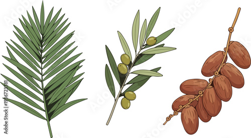 Set of natural elements including palm leaf, olive branch with fruit, and date fruit branch