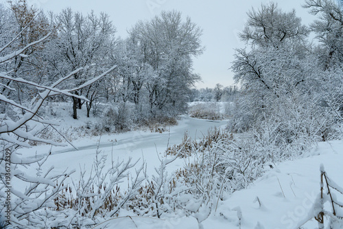 Frozen Borovaya River in winter forest near Severodonetsk, Ukraine