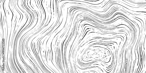 Log cut, wood texture, tree rings pattern, shades of gray, rough vector background