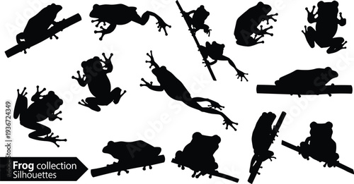 Black frog collection silhouettes vector set with amphibians jumping climbing and sitting isolated on white background for nature design elements