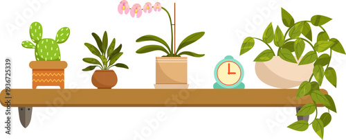 Greenery home decoration. House botany on wooden shelf