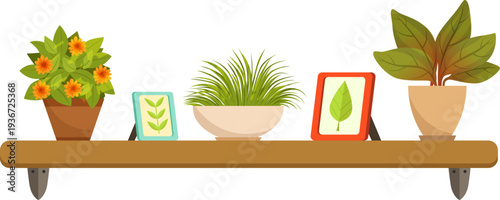 Wooden shelf with green decoration. Home floral botany