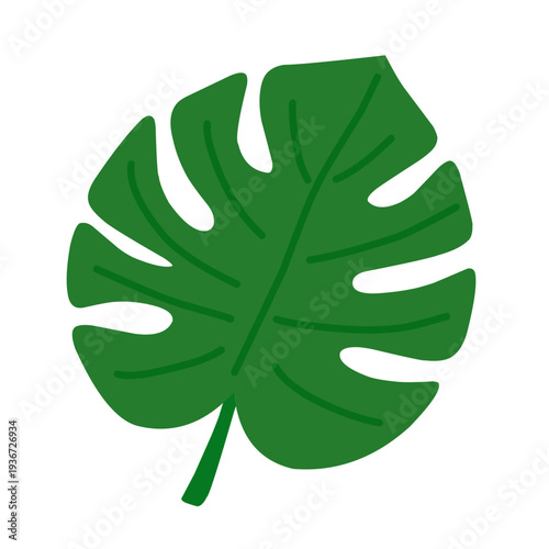 Monstera Leaf with Tropical Green Shape in Flat Vector Style for Summer Design