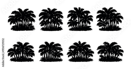 Palm tree clusters silhouetted against dark gradient background