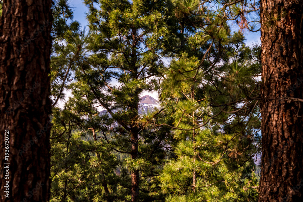 Fototapeta premium Paisaje con el pico del Teide y nubes en la isla de Tenerife.