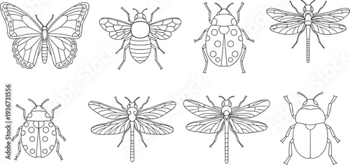 Collection of stylized line art insects including a butterfly, bee, ladybug, dragonfly, and beetle