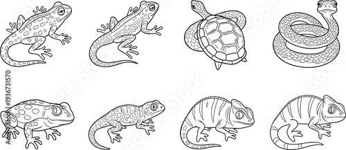 Collection of cartoon reptiles and amphibians in a simple line art style