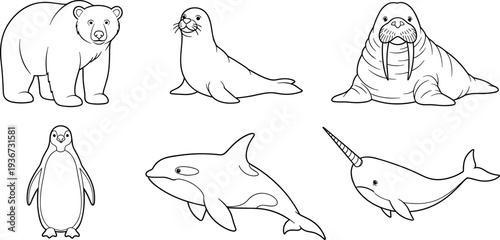 Collection of arctic and marine animals in a simple line drawing style