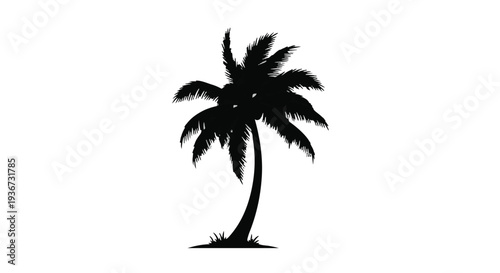 Silhouette of a tropical palm tree on a white background, symbolizing summer and vacation