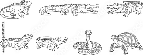 Collection of cartoon reptiles including iguanas, alligators, snakes, and turtles