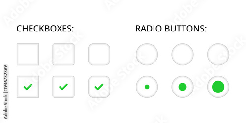 Set of checkboxes and radio buttons. Collection of checked and unchecked boxes, selected and unselected option buttons for forms, surveys and user interface design. UI elements for web and mobile apps