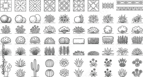 Landscape design elements collection, plants shrubs grasses cacti flowers and paving patterns, detailed garden planning symbols for landscape architecture illustration