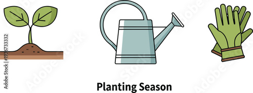 Gardening essentials: seedling, watering can, and gloves for planting season