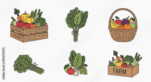 Fresh produce and vegetables arranged in wooden crates and baskets on a farm setting