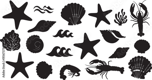 black and white illustration of various sea shells and starfish