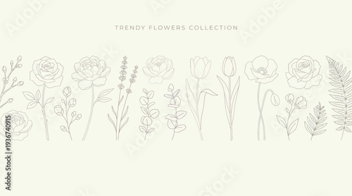 Trendy Floral Collection: Minimalist line-art drawings of dainty wildflowers on a pale background for elegant design projects.