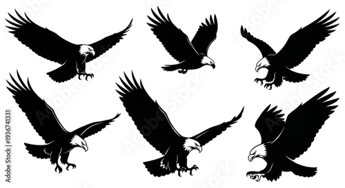 Flying Eagle Silhouette Collection – Birds of Prey Vector Set