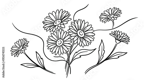 Line art illustration of blooming daisies on stems with leaves, a botanical black-and-white floral sketch