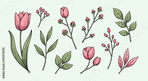 A collection of hand-drawn flowers and leaves in vintage vector style, ideal for botanical designs and creative projects