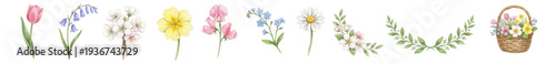 Spring watercolor floral set: tulip, bluebell, daisy, blossom wreath basket. Collection of Vector illustrations. Perfect for invitation, card, poster, banner, decoration