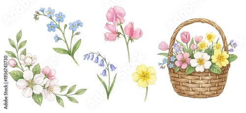 Beautiful flowers, botanical watercolor set. Collection of Vector illustrations. Perfect for invitation, card, poster, banner, decoration