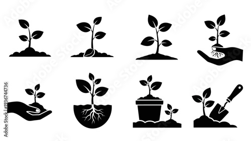 Vector black icons set Young plant growth planting and nature elements EPS10 Stock.eps