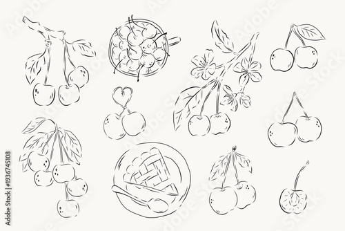 hand drawn cherry line art collection with fruit branch leaf and botanical elements isolated on light background. minimal outline illustration