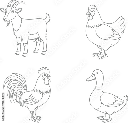 Farm animals illustration