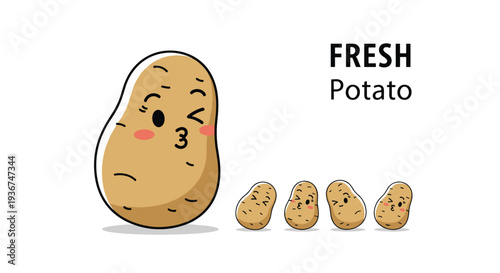 Large and small cute potato cartoon characters with funny faces and expressions and text fresh potato on white background.