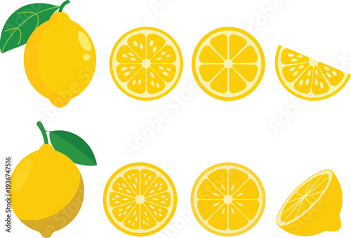 A set of lemons and lemon slices in different views