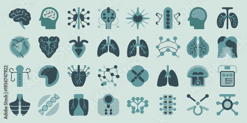 Detailed anatomical illustrations of human organs and body parts in a professional medical mega set for educational purposes