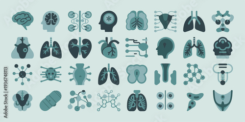 A premium collection of anatomical illustrations featuring organs, body, cells, health, and science in a detailed visual representation