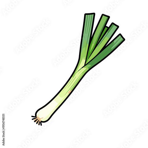 [Vector EPS]Fresh green onion with long green leaves and white bulb