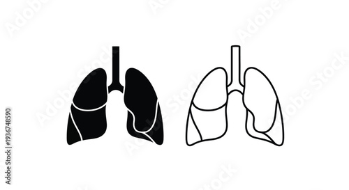 Lungs anatomy medical diagram Vector