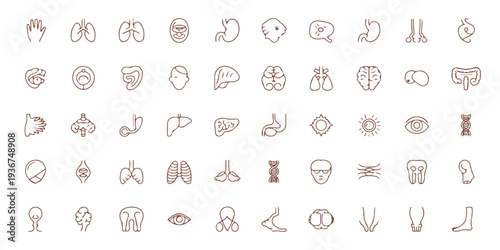 A collection of 50 medical and anatomical icons in a grid layout on a clean white background from a straightforward viewpoint