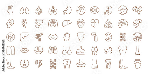 Collection of 36 minimalist human body part icons in a grid layout, showcasing various organs and body parts in a simple line art style from a direct viewpoint.
