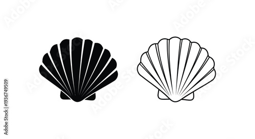 Black white scallop shells design Vector