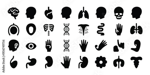 Collection of minimalistic human body part illustrations including organs and systems for educational purposes