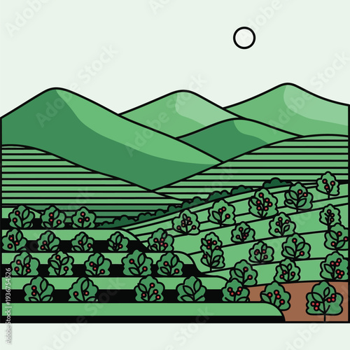 Coffee plantation with rows of coffee trees on green hills under light sky