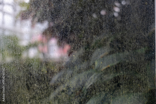 Fotografia Glass surface with pollen and dust deposits