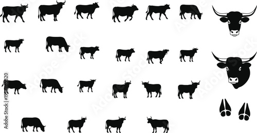 Bull and cow silhouette collection, cattle pose set, livestock icons, farm animal vector pack, ranch branding elements isolated