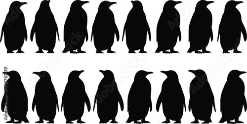 Penguin silhouette collection set with different standing poses, Antarctic bird wildlife animal illustration isolated for nature, zoology, mascot and design elements