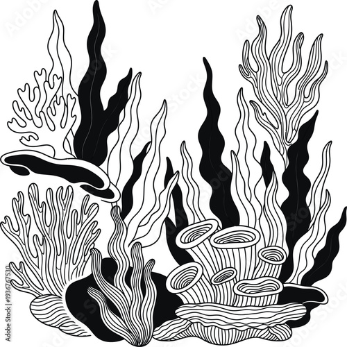 Stylized black and white illustration of underwater coral and marine life